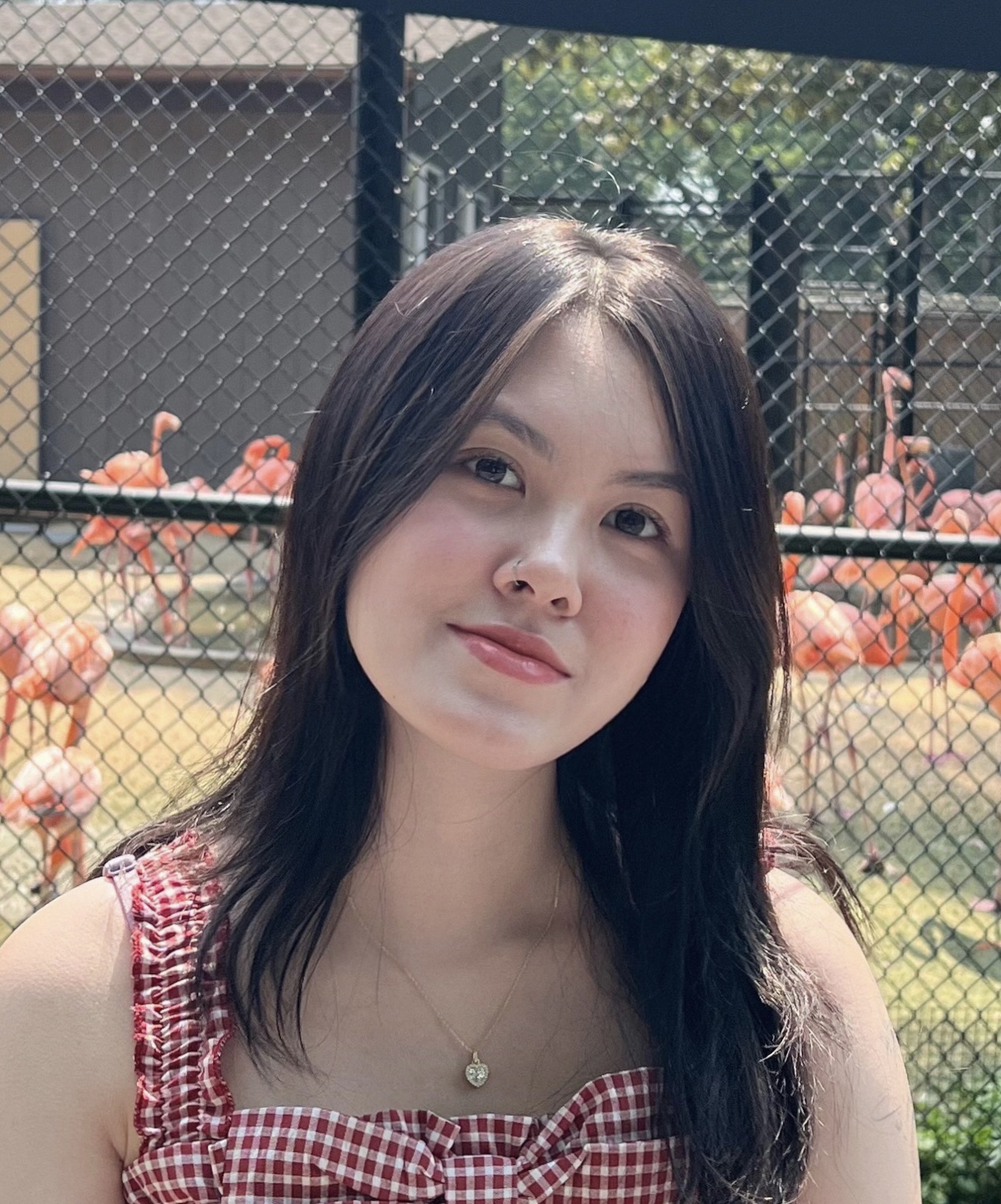 Han Le
